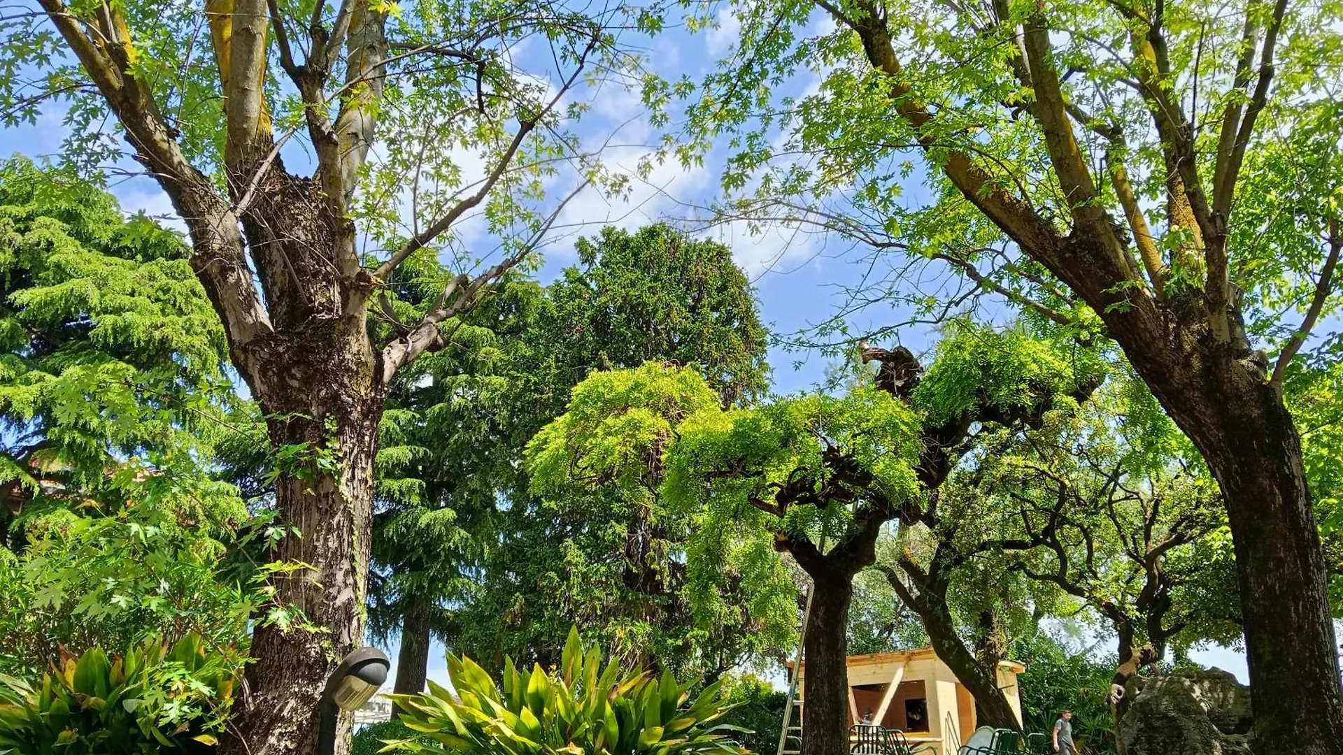 Hotel Villa Maria Desenzano del Garda